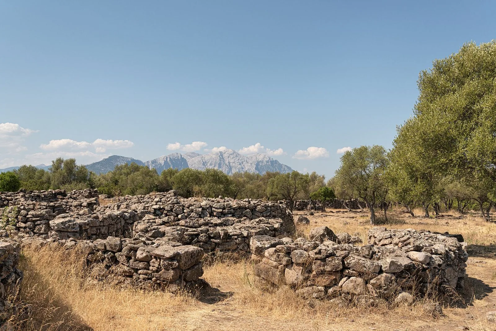 Resti delle capanne in pietra del villaggio nuragico di Serra Orrios con le montagne del Supramonte sullo sfondo